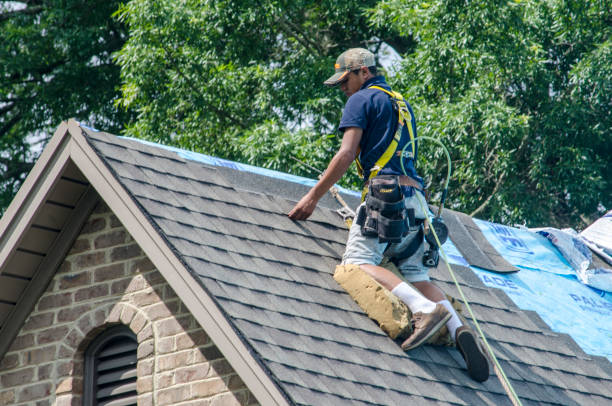 Best Flat Roof Repair Services  in Marcus Hook, PA