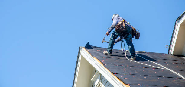 Best Roof Gutter Cleaning  in Marcus Hook, PA